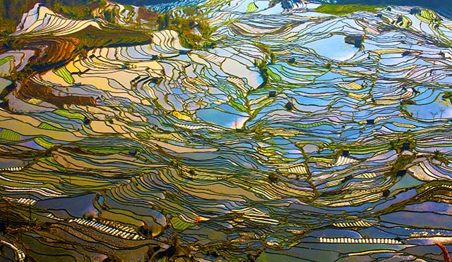 優(yōu)秀獎《梯田之美》 山東鄒城 于波.jpg