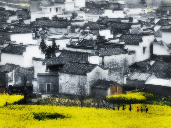入選獎(jiǎng) 侍衛(wèi)東 徽居.jpg