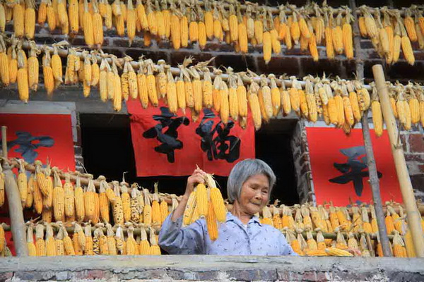 銅獎(jiǎng) 黃建芳 曬“幸福”.JPG