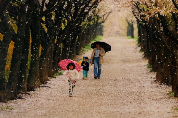 入選獎(jiǎng) 盧煒梁 風(fēng)花雪月薄云天.jpg